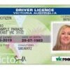 Australian driver's licence